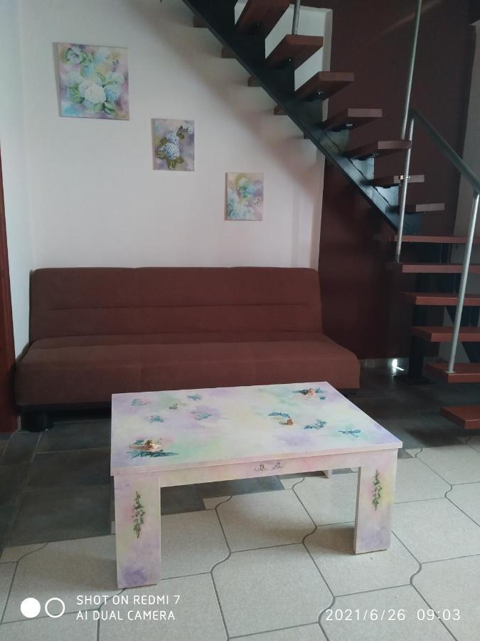 Country Art Studio Alkyoni Apartment Kokkino Nero Exterior photo